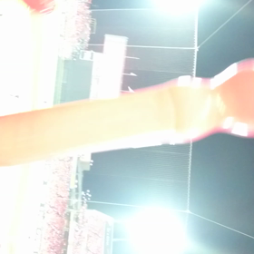 本日のカープの画像