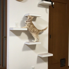 なっちゃんいつもの日常に戻ったよ！の画像