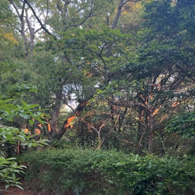 一緒にがんばる仲間はどうやって見つける？の画像