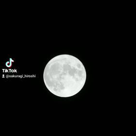 仲秋の名月の画像