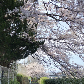 untitled の嵐さんの画像