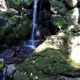 久しぶりの出雲さん♡の画像