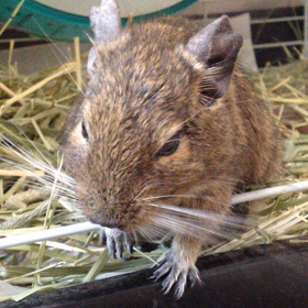 また動画の画像