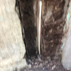 木の柱崩壊の画像