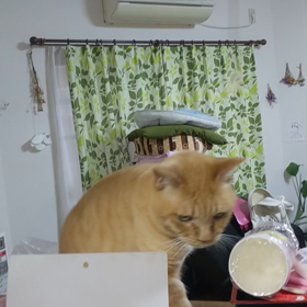 不調続きの画像