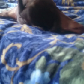 そらくんのさいなん。の画像