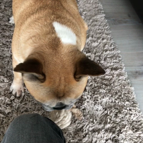 遊ばれてる？^^;の画像