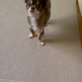 ☆いつもの親バカ☆の画像