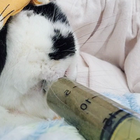 ラビコレが終わって…の画像