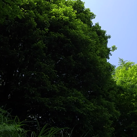 朝から賑やか～の画像
