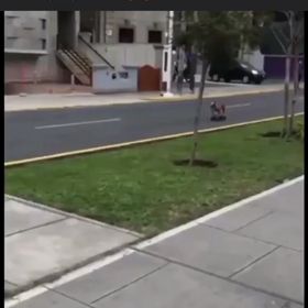 ドックリターン！の画像