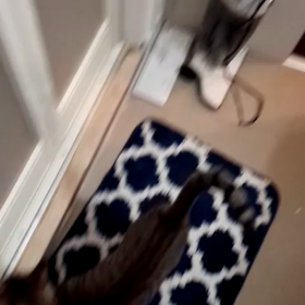 猫のイタズラの画像