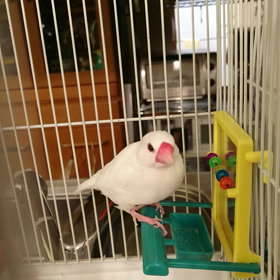 一日の終わりの画像