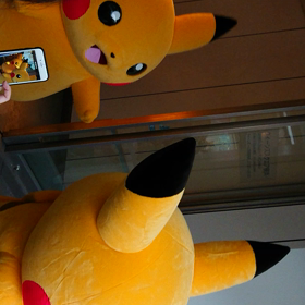 ピカチュウ大量発生中⚡の画像