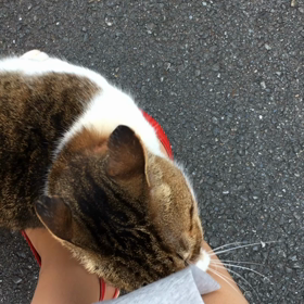 嵐の前の静けさ…の画像