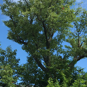 おはようございます❣️の画像