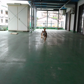 今夜はお留守番の画像