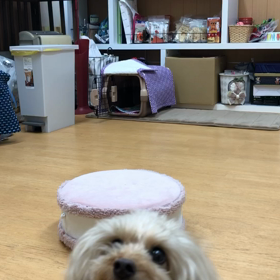 ミルキー編。の画像