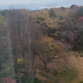 フォレストイン昭和館の画像