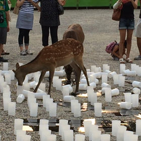 燈花会 サポーターさんの敵！の画像