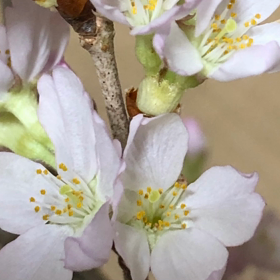 3/22の気になるMovieの画像