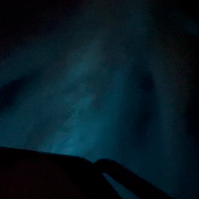 バイオルミネセンスの画像