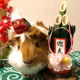 今年も宜しくお願いますの画像