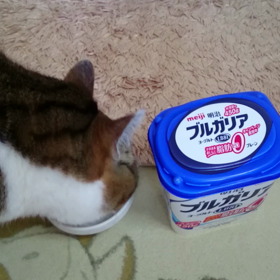 親バカの画像