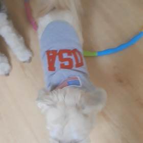 おうちで楽しめるおすすめゲーム教えての画像