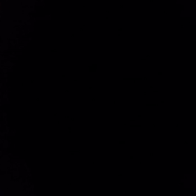 社会人ハゲの画像