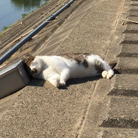 マジ防災グッズ持ち歩き…の画像