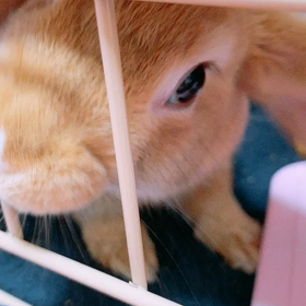 ストレス発散の画像