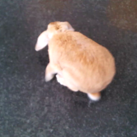 久々に。の画像