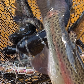 7/20、今日の釣り場。明日の予定。の画像