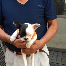 父ちゃんと小百合の画像