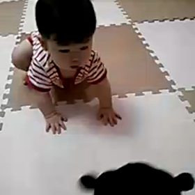 動くくまもんの画像