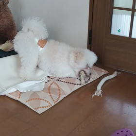 唸るむぎの画像