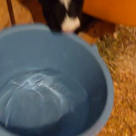 北海道＝でっかいどうの画像