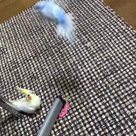 すごいランナー登場！！（ﾟдﾟlll）の画像