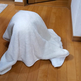 我が家の珍獣(笑)❕の画像