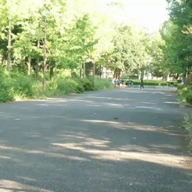 クラブ交流大会女子選考会⑦の画像