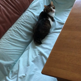 母は忘れっぽくて…心配。今朝も元気いっぱいデール動画。の画像