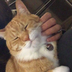 ＧＷ･････突入〜の画像