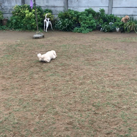 ぼくたちわちゃわちゃ‼️の画像