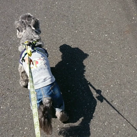 いいのか？悪いのか？わからないけど。。の画像