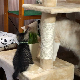 だいちゃんは、すっかり良いオジさん(お兄さん？)の画像