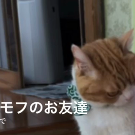 虫刺されれーの画像