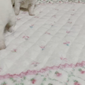 ムービー❣️の画像