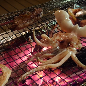 イカをいかが？の画像