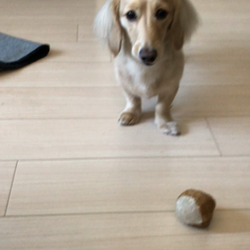 わいはおっさんかの画像